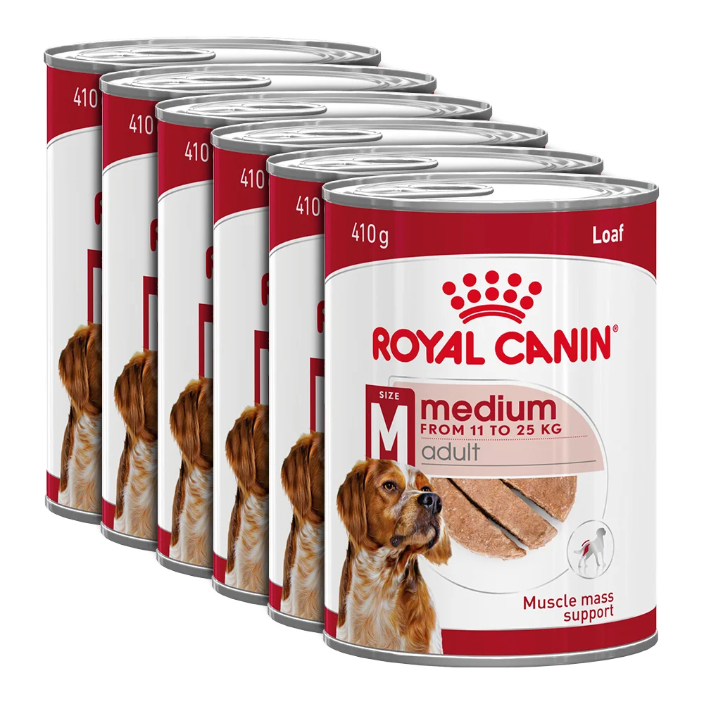 Câini - ROYAL CANIN Medium Adult, hrană umedă câine (în sos), 6x410g