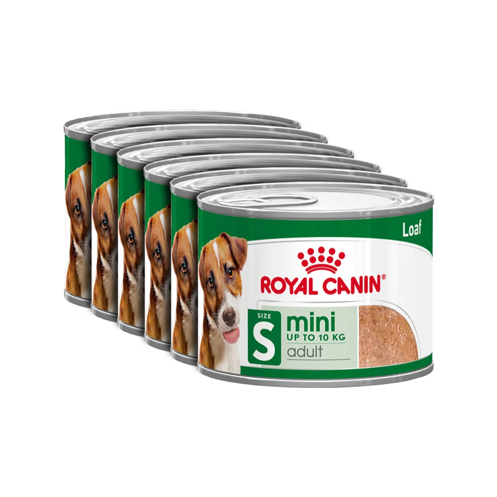 Câini - ROYAL CANIN Mini Adult, hrană umedă câine (în sos), 6x195g
