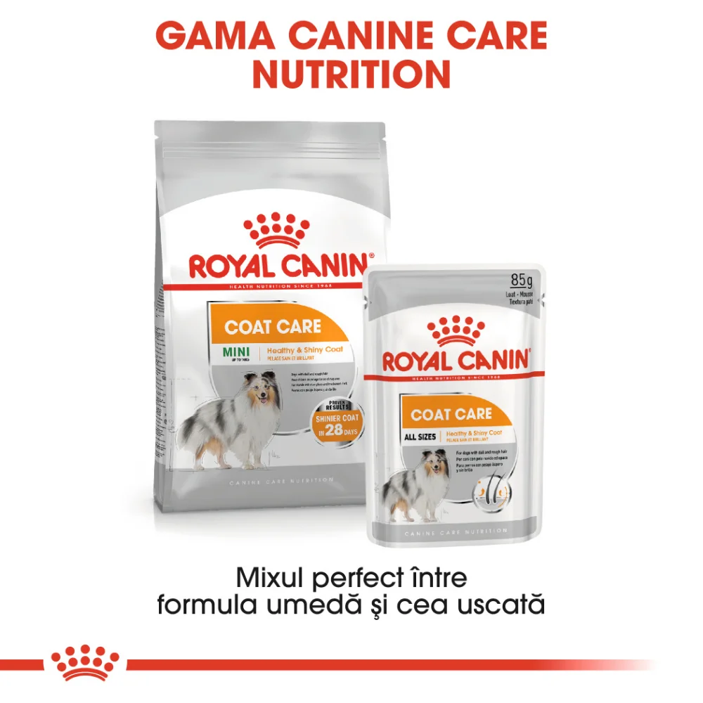 ROYAL CANIN Mini Coat Care Adult, hrană uscată câine, blana sănătoasă și lucioasă, 1kg [7]