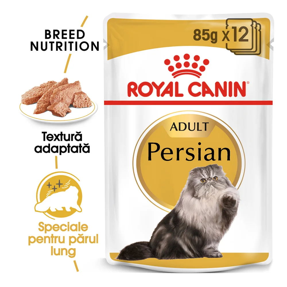 ROYAL CANIN Persian Adult, hrană umedă pisică (pate), 12x85g