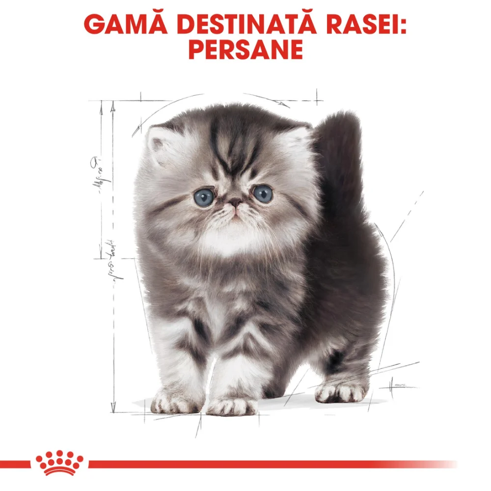 ROYAL CANIN Persian Kitten, hrană uscată pisică junior, 10kg [4]