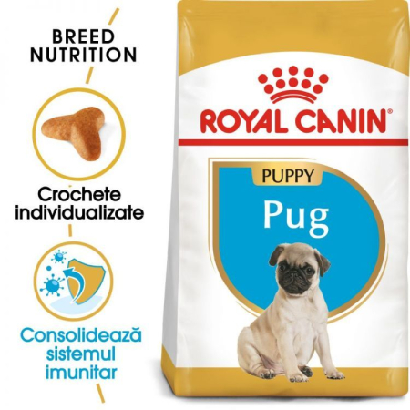 Caini - ROYAL CANIN Pug Puppy 1.5kg