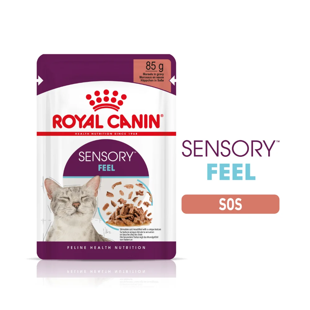 ROYAL CANIN Sensory Feel, hrană umedă pisică, stimularea simțului tactil (în sos), 12x85g