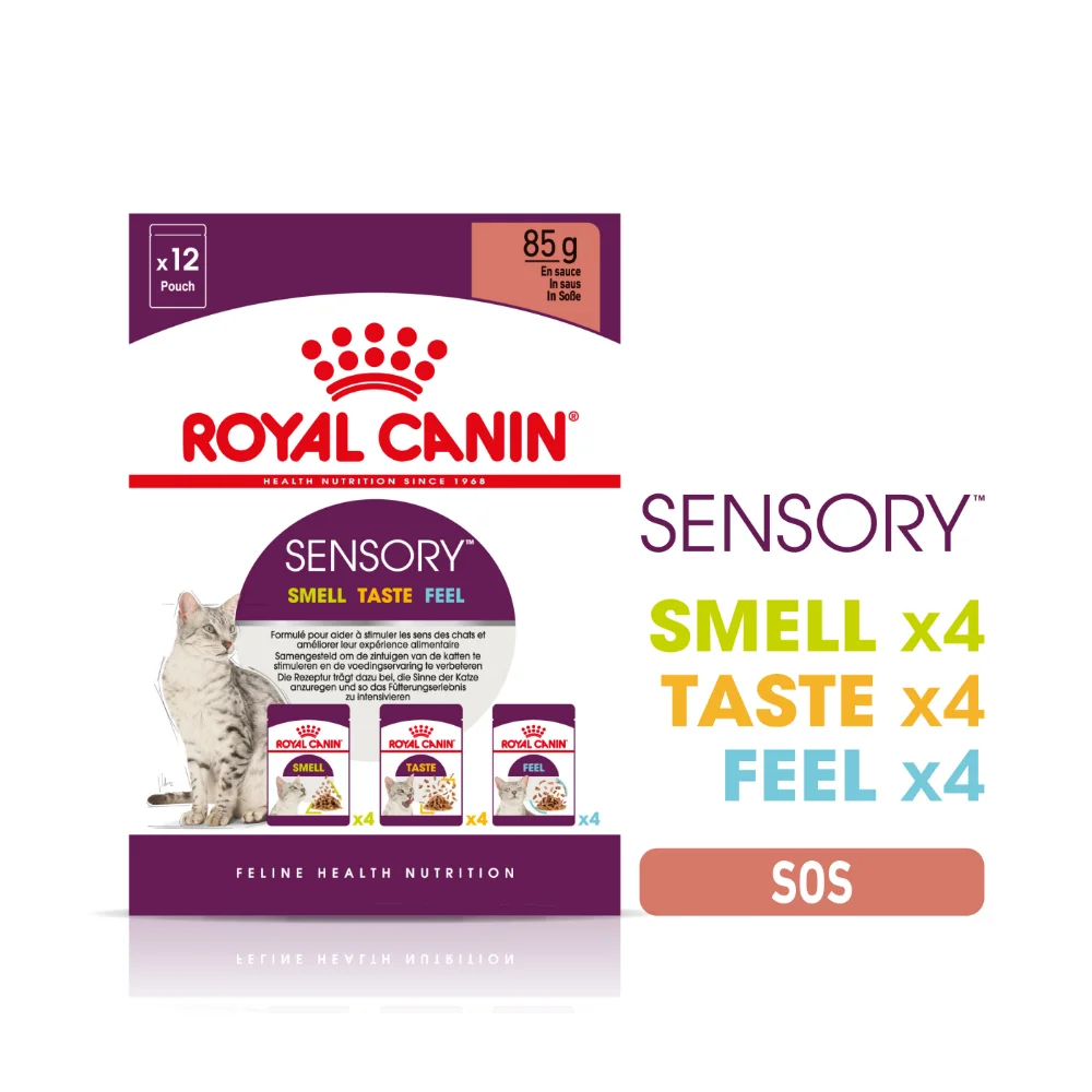 Pisică Adult - ROYAL CANIN Sensory, hrană umedă pisică, stimularea simțurilor (în sos), 12x85g