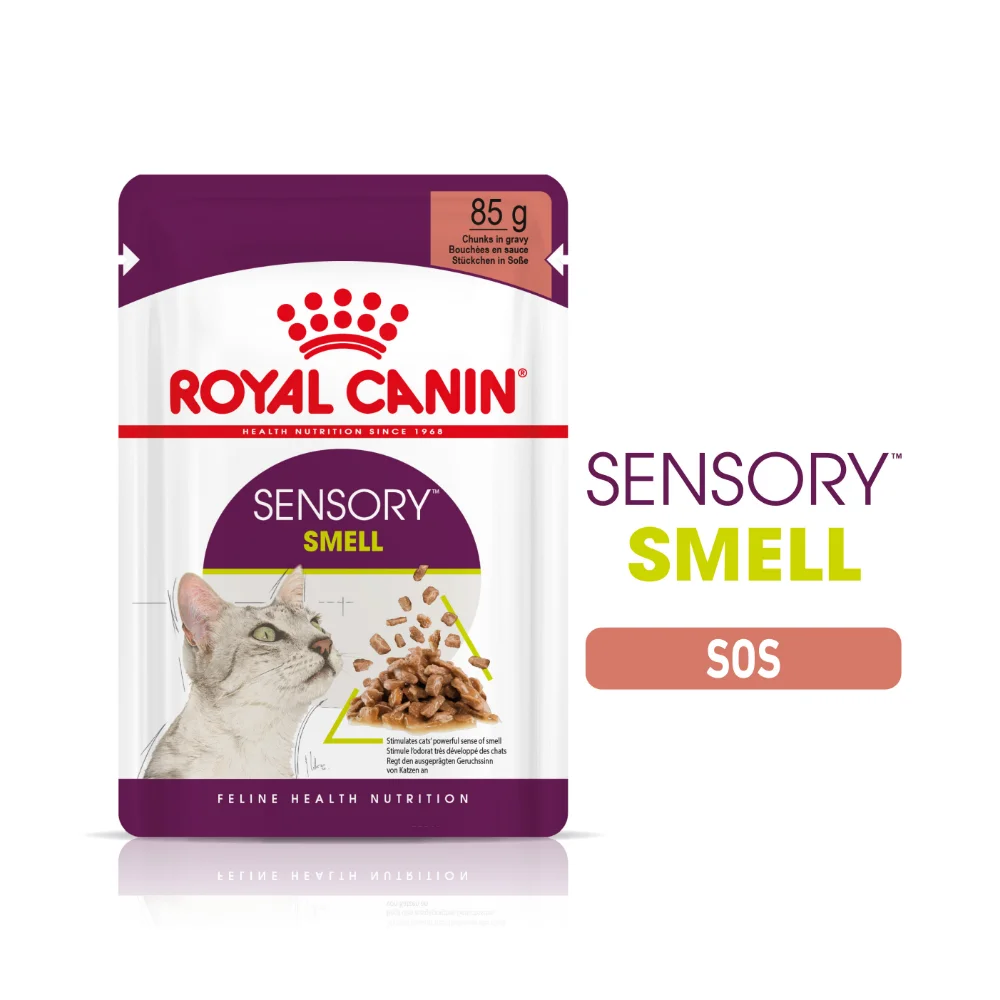 ROYAL CANIN Sensory Smell, hrană umedă pisici, stimularea mirosului (în sos), 12x85g