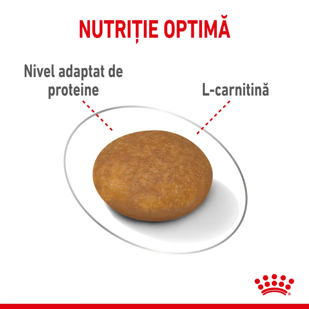 ROYAL CANIN X-Small Light Weight Care Adult, hrană uscată câine, limitarea creșterii în greutate, 1.5kg [3]