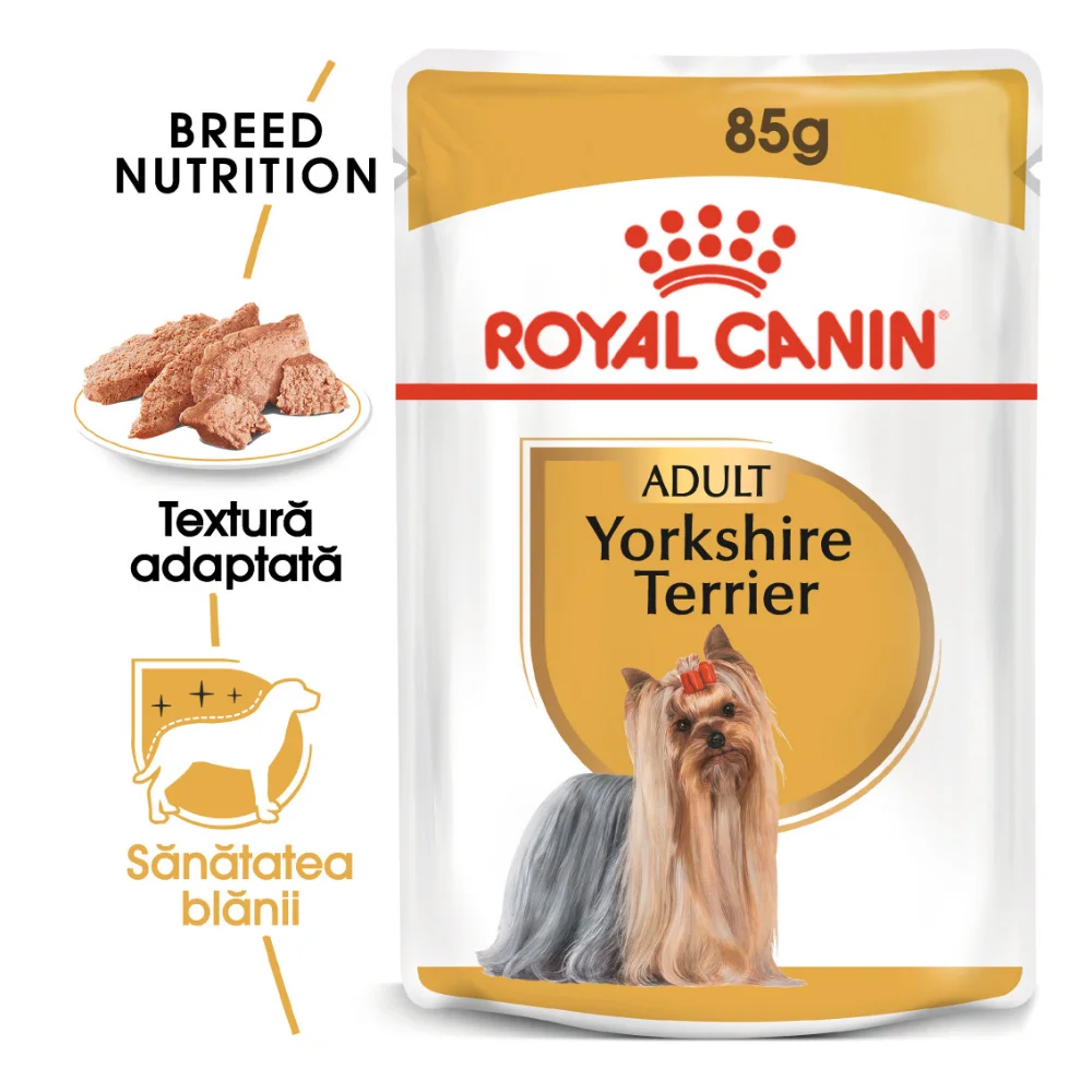 ROYAL CANIN Yorkshire Terrier Adult, hrană umedă câine (pate), 12x85g