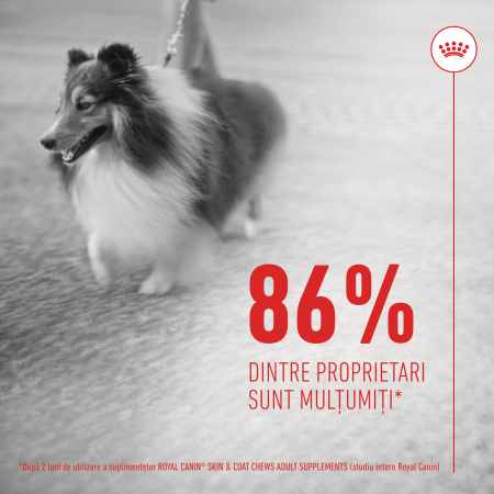 Suplimente Masticabile, ROYAL CANIN, Skin & Coat Chews Adult Supplements, 240g [5]