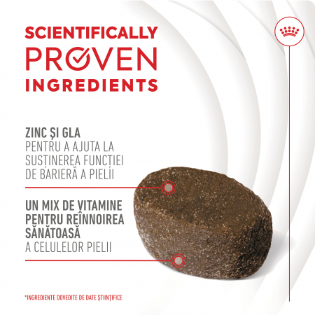 Suplimente Masticabile, ROYAL CANIN, Skin & Coat Chews Adult Supplements, 240g [2]