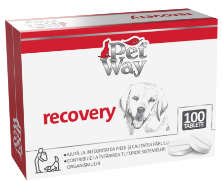 Câini - Supliment nutritiv Caini PETWAY Recovery, 100 Tablete