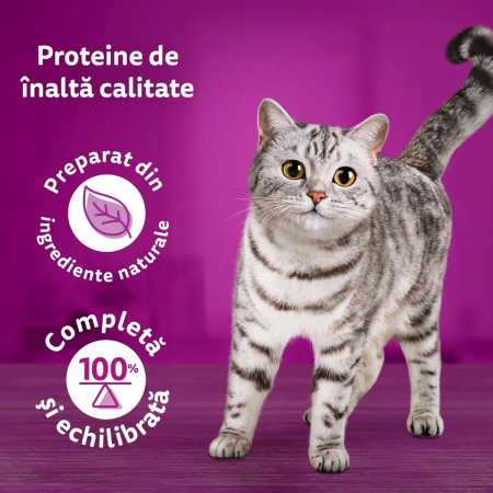 Hrana Umeda Pisici WHISKAS Pure Delight Selectii Clasice in Aspic 4x85g [4]