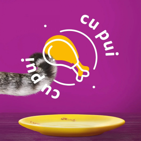 Hrana Umeda Pisici WHISKAS Pui in Aspic 85g [5]