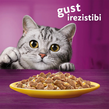 Hrana Umeda Pisici WHISKAS Selectii Pasare in Aspic 12x85g [7]