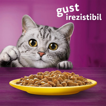 Hrana Umeda Pisici WHISKAS Selectii Pasare in Sos 12x85g [7]