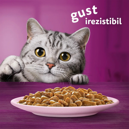 Hrana Umeda Pisici WHISKAS Somon 85g [6]