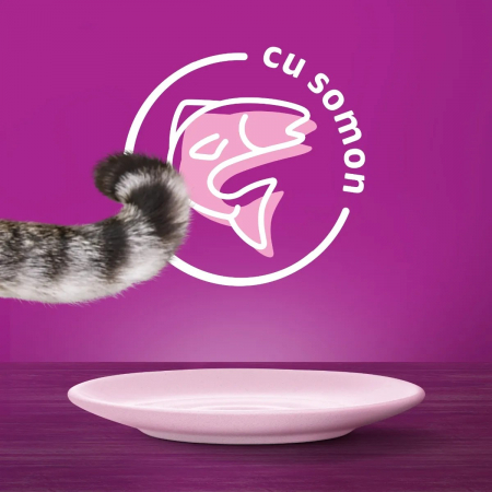 Hrana Umeda Pisici WHISKAS Somon 85g [5]