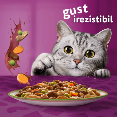 Hrana Umeda Pisici WHISKAS Tasty Mix 12x85g [7]