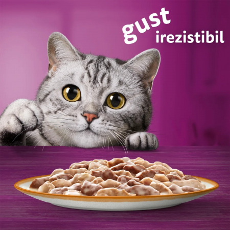 Hrana Umeda Pisici WHISKAS Tasty Mix Meniu Cremos Miel in Sos 85g [6]