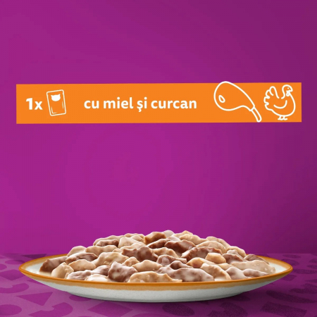 Hrana Umeda Pisici WHISKAS Tasty Mix Meniu Cremos Miel in Sos 85g [5]