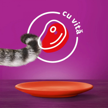 Hrana Umeda Pisici WHISKAS Vita in Sos 85g [5]
