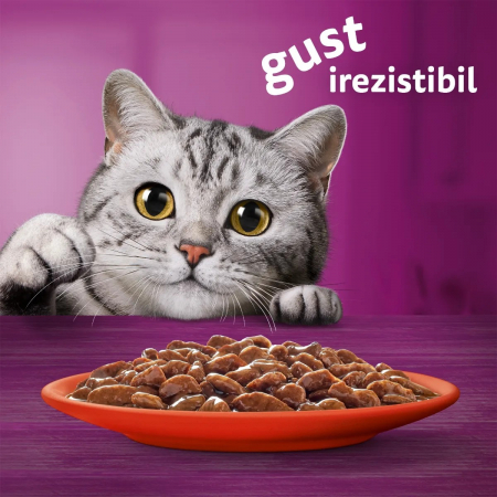 Hrana Umeda Pisici WHISKAS Vita in Sos 85g [6]