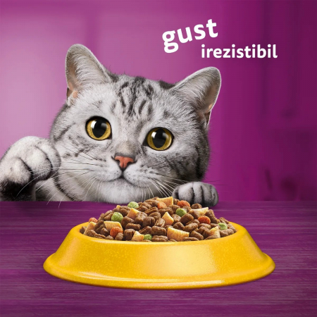 Hrana Uscata Pisici WHISKAS Adult Pui si Ficat 300g [6]
