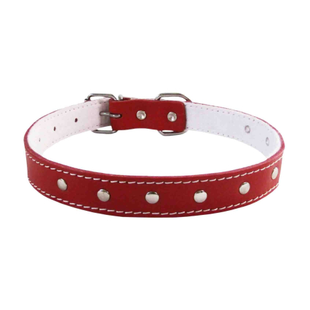 Zgarda Caini 4DOG Ornamente Rosie 40/630mm – DELISTAT