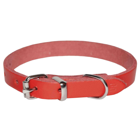 Câini - Zgardă pentru Câine, 4DOG, Piele, Roșie, Nr. 0, 12/360 mm