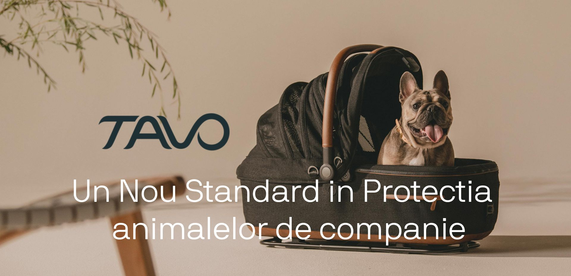 Banner principal 1