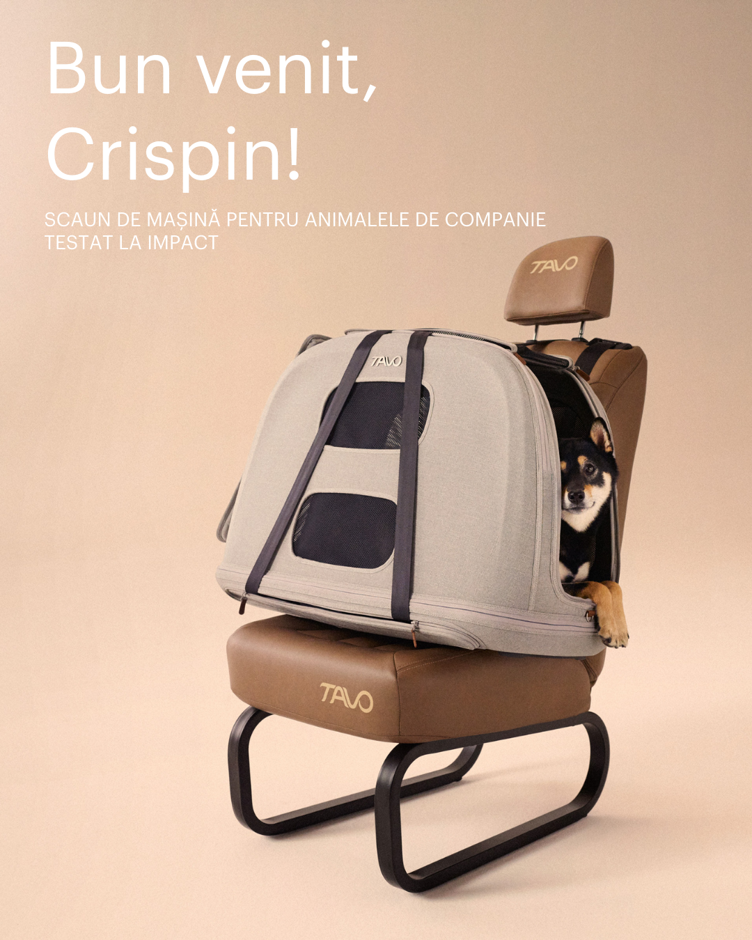 NOU la Pet Safety! Crispin, sistemul de transport destinat animalelor de companie de talie medie si mare