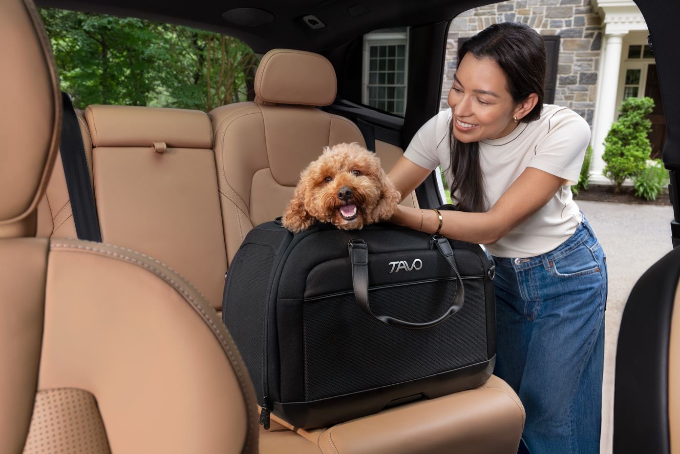 Ghid complet de siguranta pentru plimbarile in oras alaturi de animalul tau de companie