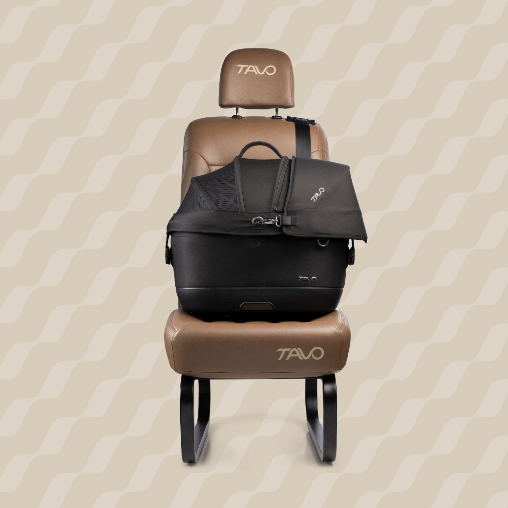 Inovatia intalneste siguranta - Maeve ISO5X, singurul sistem de transport animale de companie de pe piata cu isofix integrat