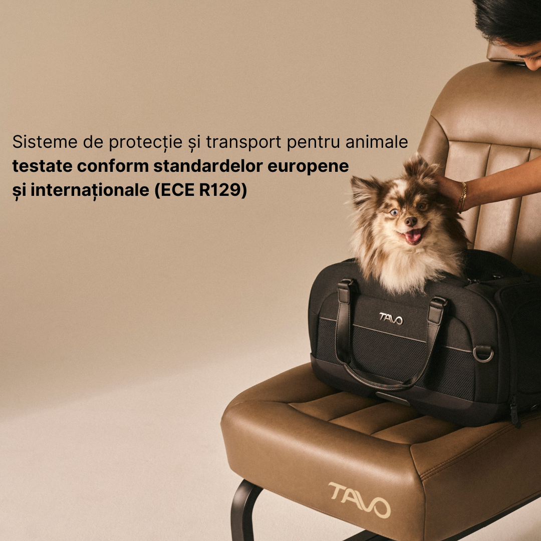 Ce inseamna standardul de siguranta R129 pentru produsele de transport a animalelor de companie?