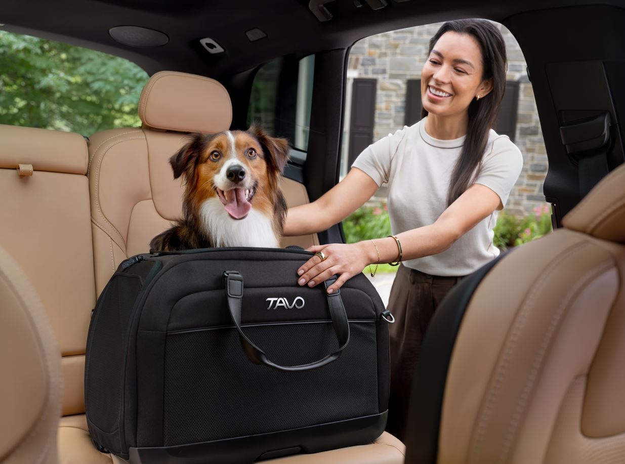 Familiarizarea animalului de companie cu sistemul de transport si alte echipamente de deplasare