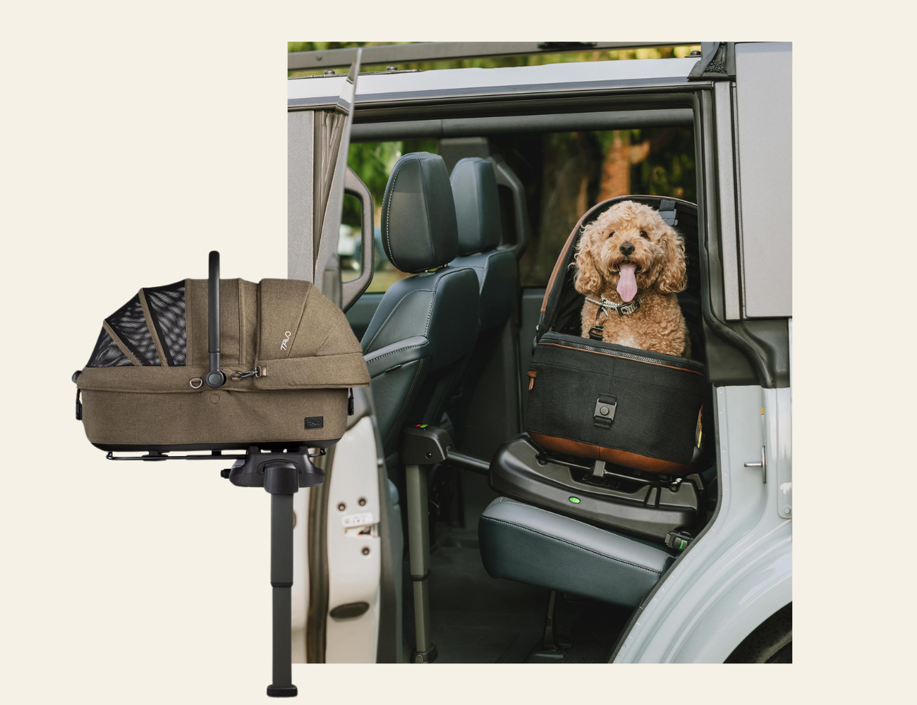 Sistemul de protectie MAEVE