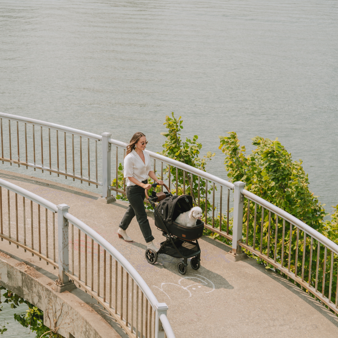 Cadru carucior pentru animale de companie Roscoe Chocolate destinat sistemului de protectie Maeve [9]