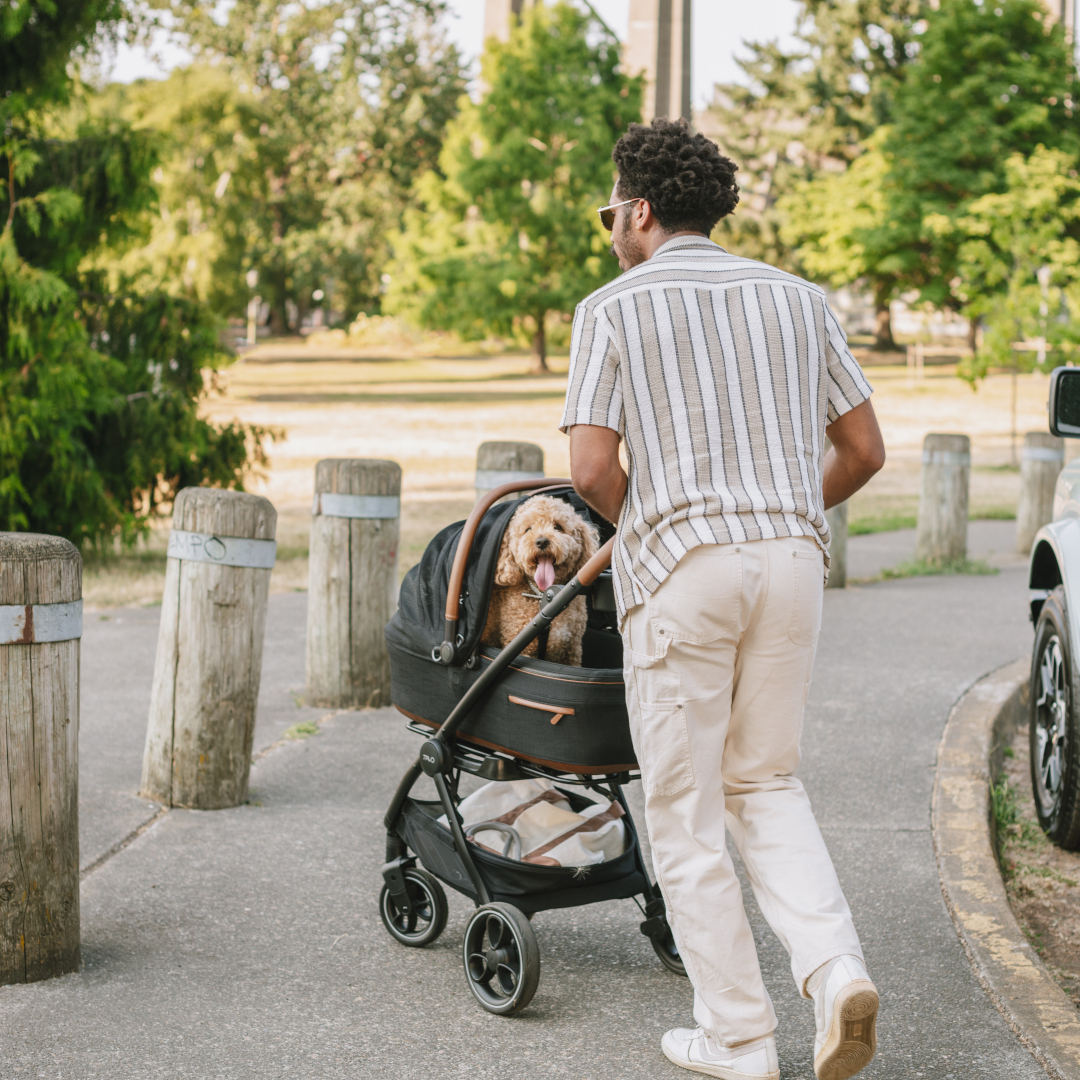 Cadru carucior pentru animale de companie Roscoe Chocolate destinat sistemului de protectie Maeve [11]