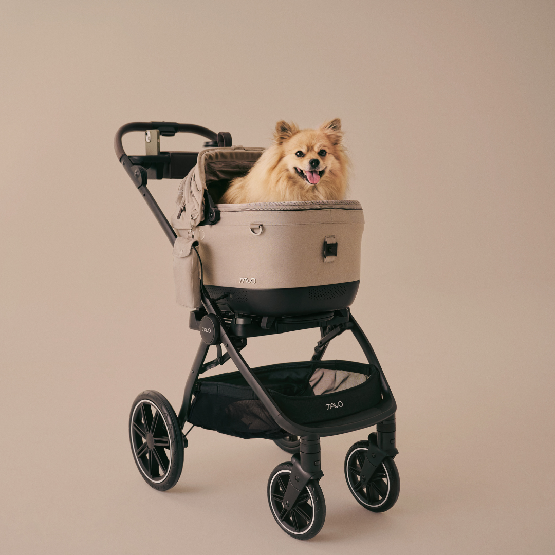 Cadru carucior Roscoe Trek Cognac pentru sistemul de protectie Maeve, Dupree, Hendrick [8]