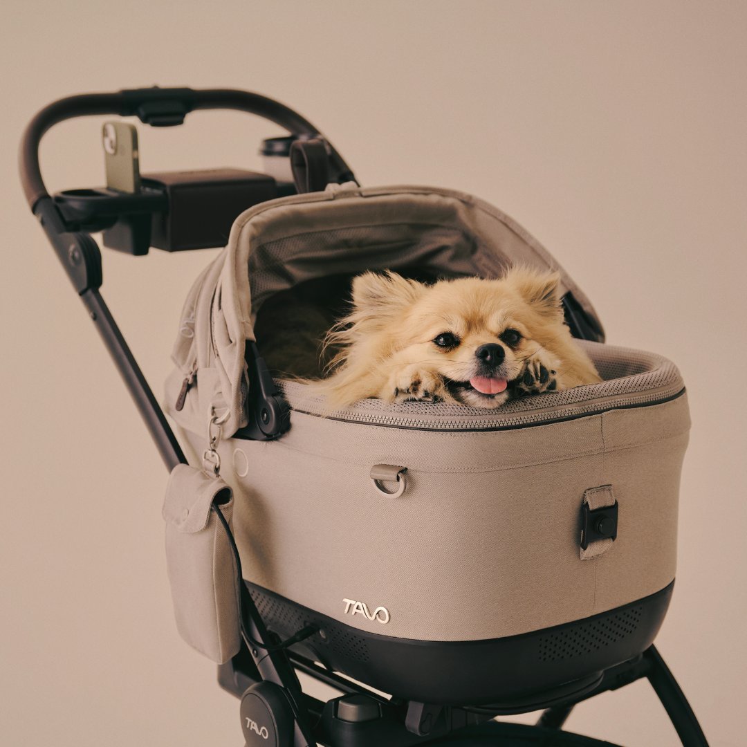 Cadru carucior Roscoe Trek Cognac pentru sistemul de protectie Maeve, Dupree, Hendrick [9]