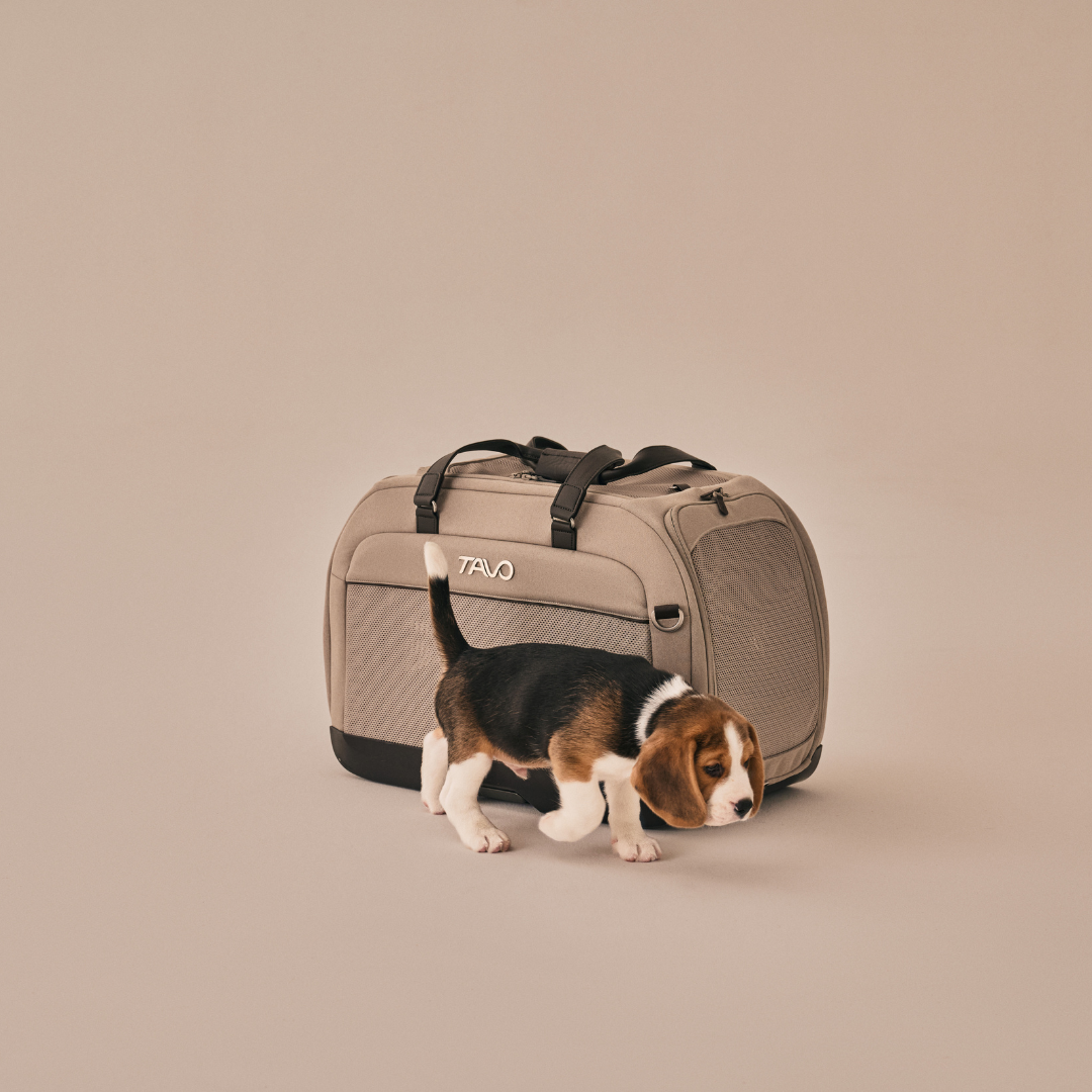 Sistem transport pentru animale Hendrick [12]