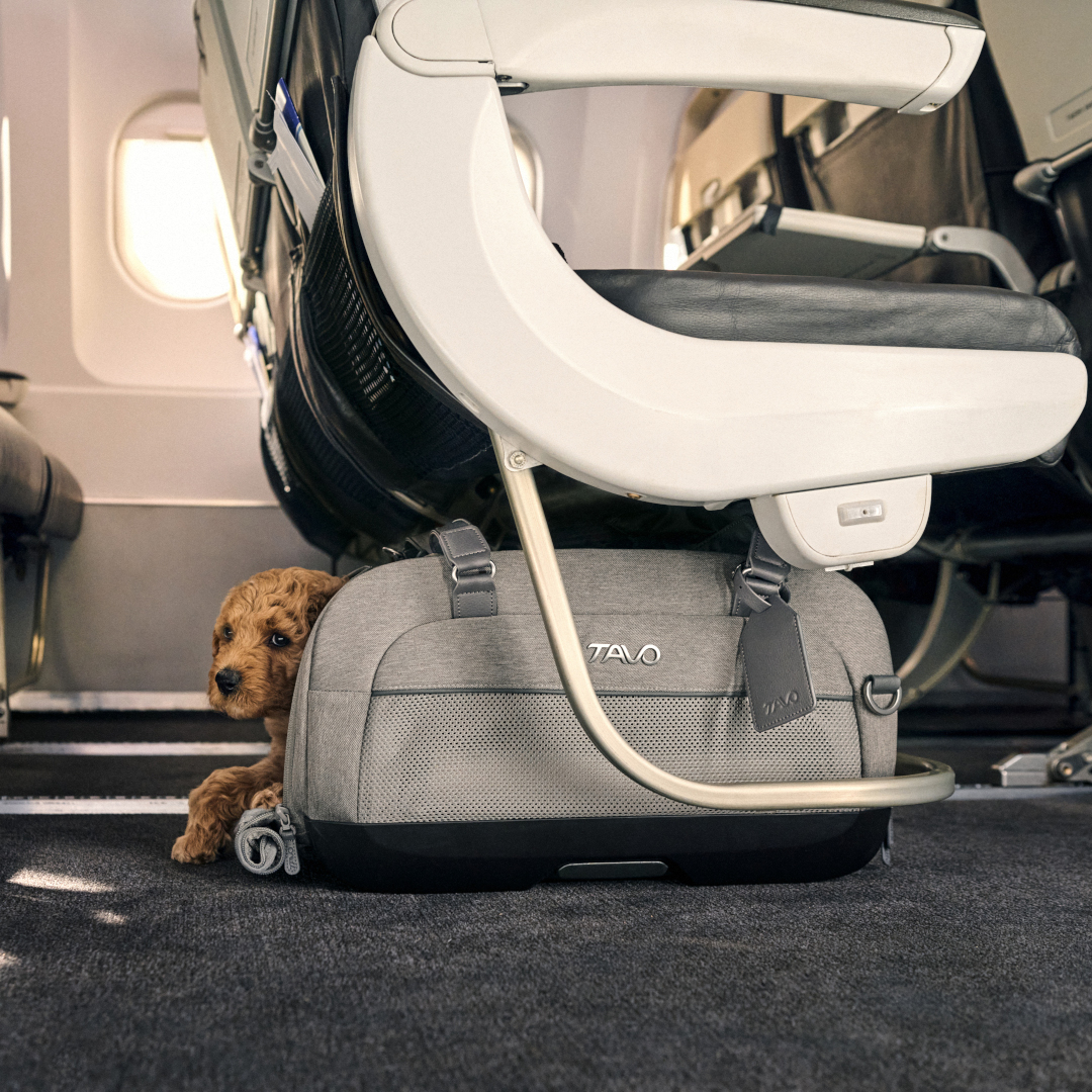 Sistem transport pentru animale Dupree [3]