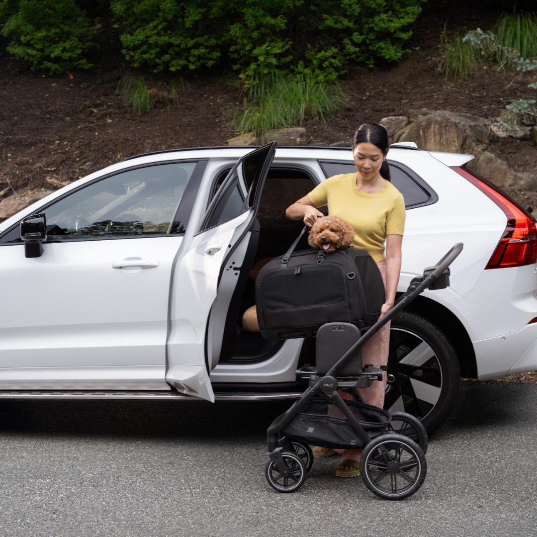 Sistem transport pentru animale Hendrick [11]