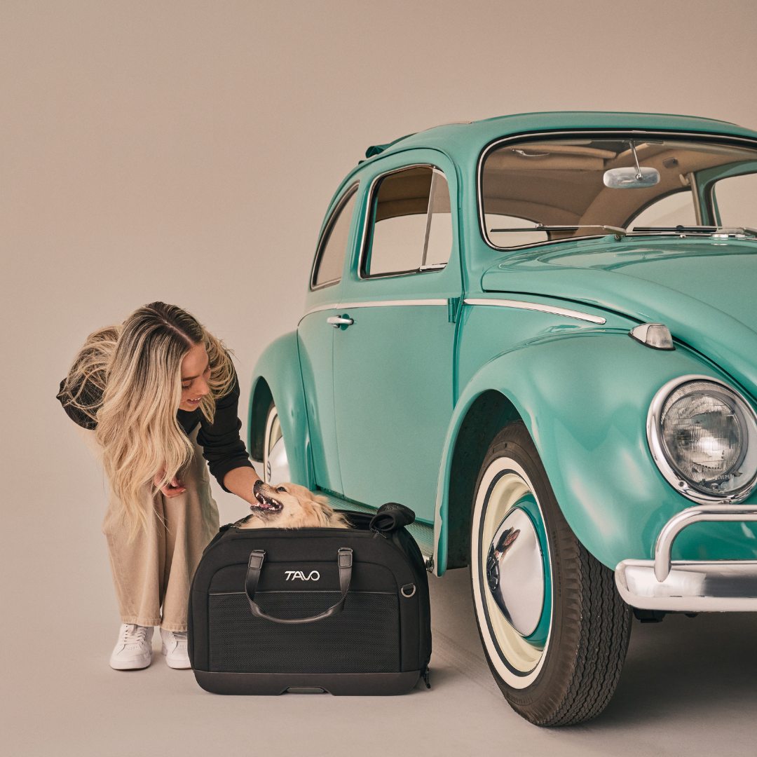 Sistem transport pentru animale Hendrick [13]