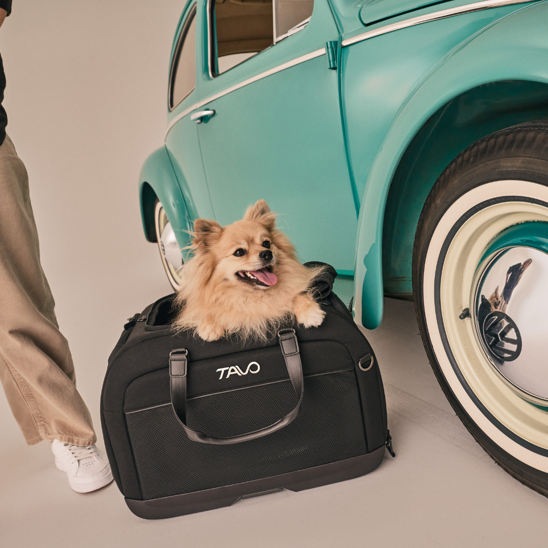 Sistem transport pentru animale Hendrick [16]