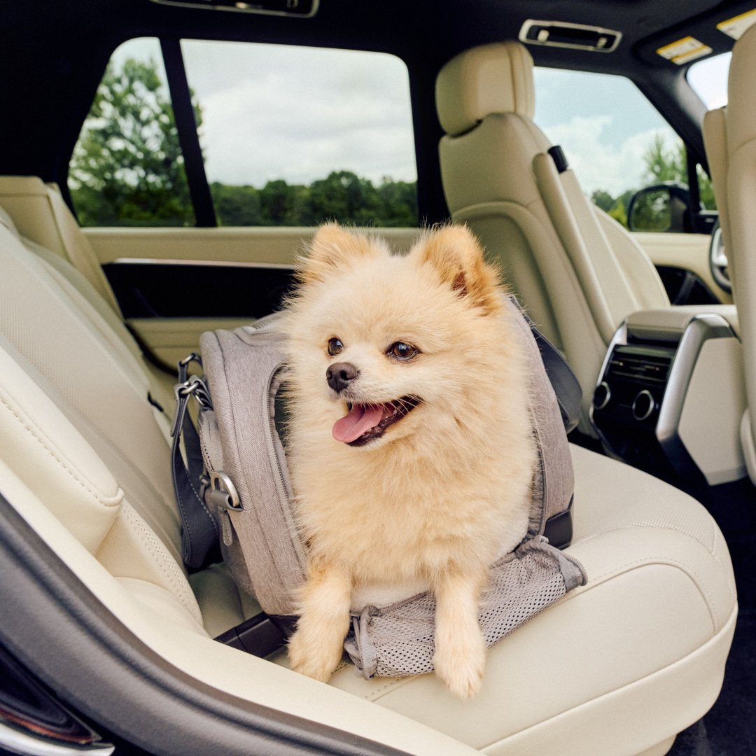 Sistem transport pentru animale Dupree [5]