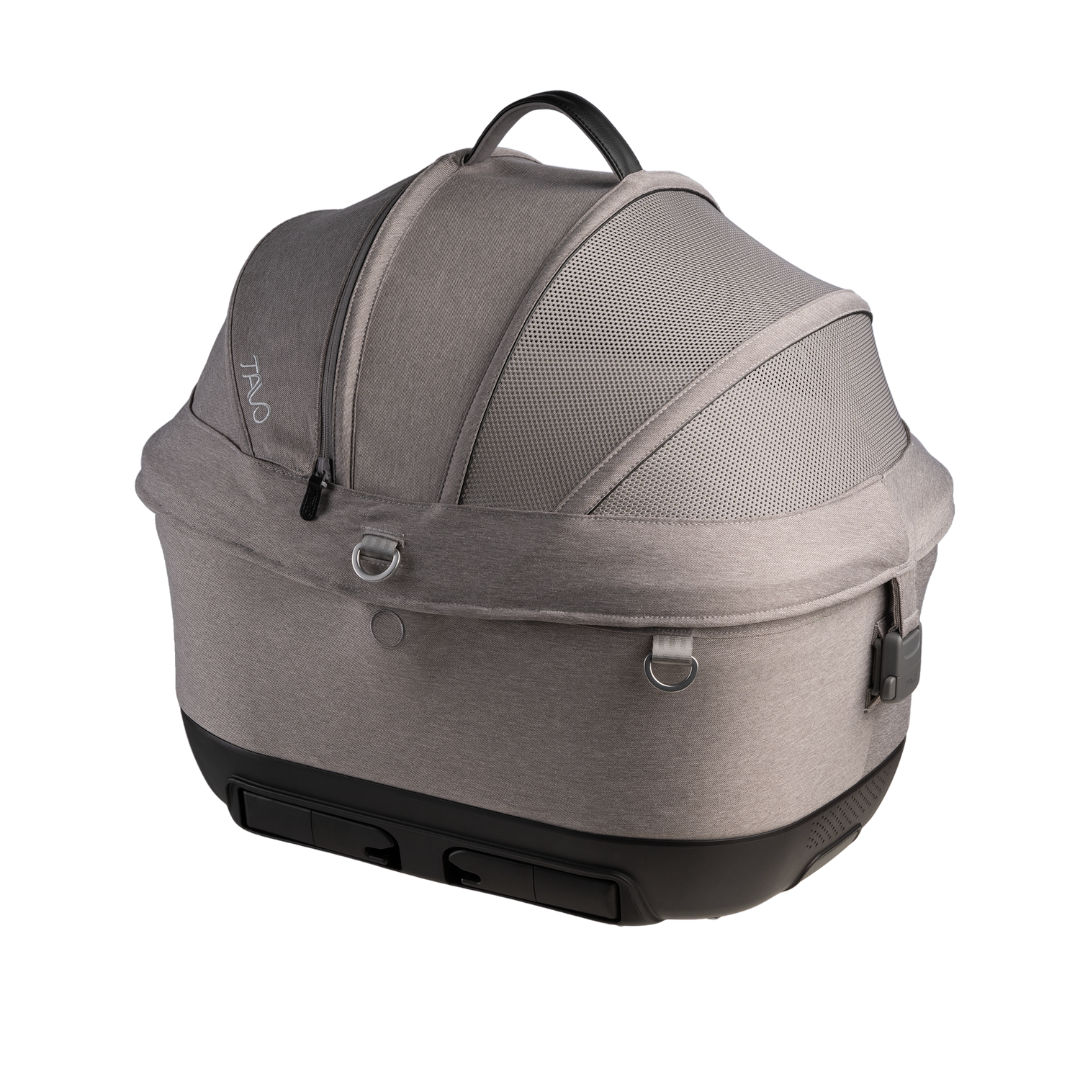 maeve-iso-5x-merle [2]