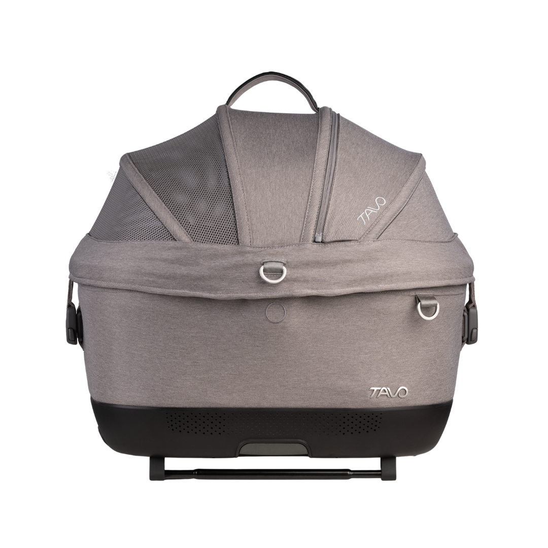 maeve-iso-5x-merle [4]