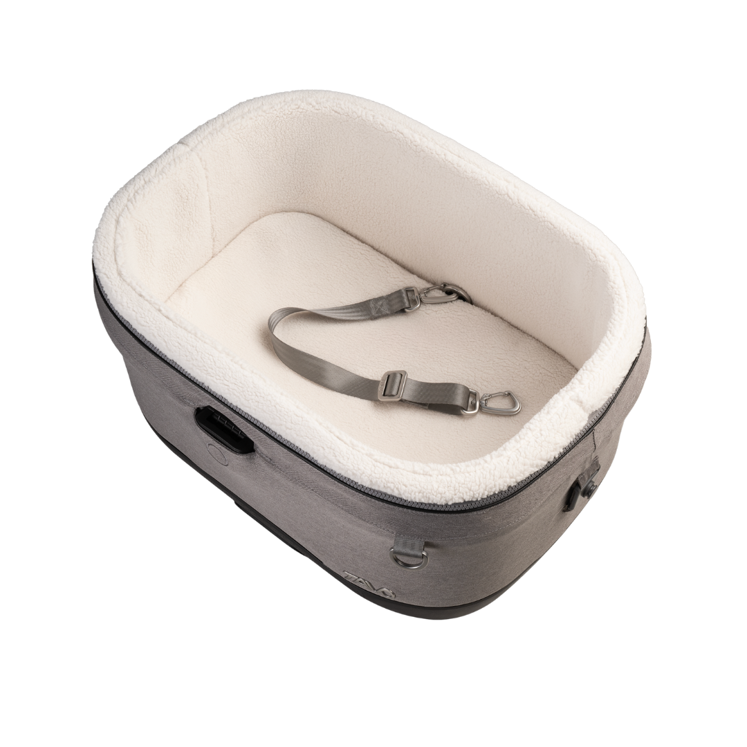 maeve-iso-5x-merle [3]