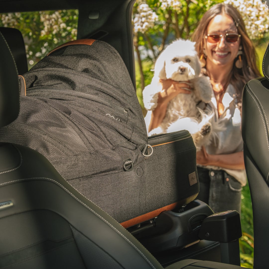 maeve-medium-rigid-brindle [3]