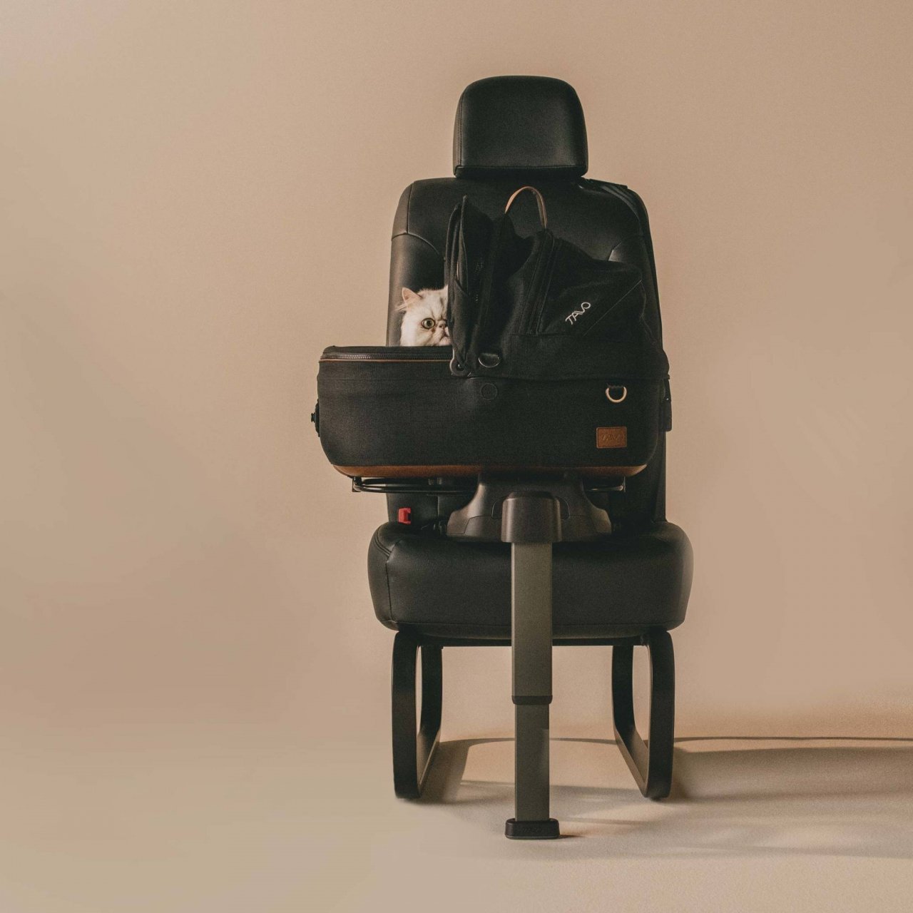 maeve-small-flex-brindle [2]